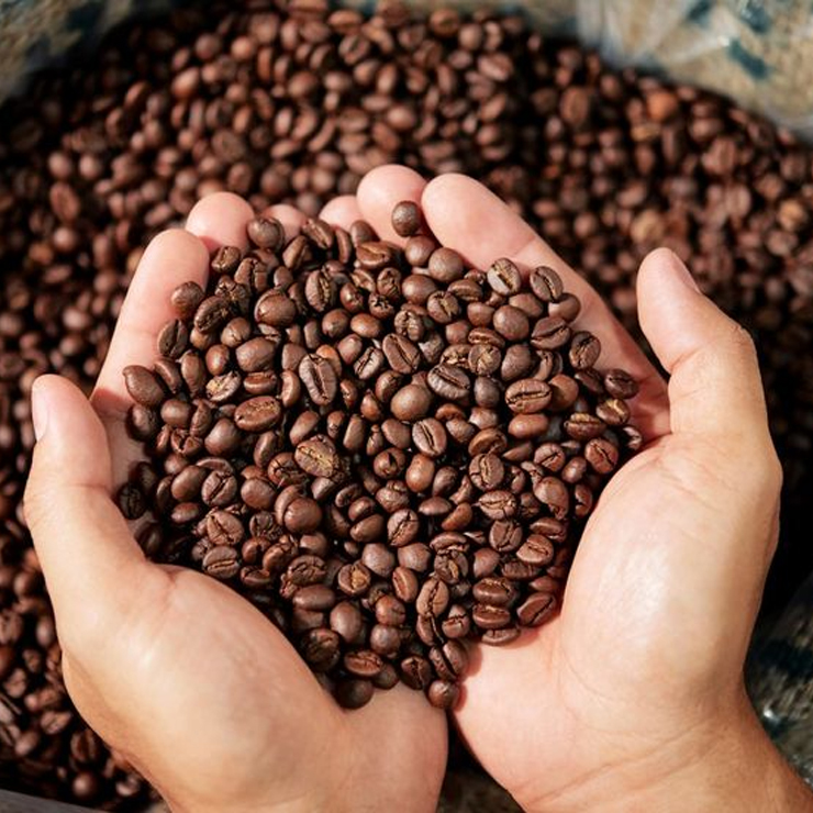 Light Roast Arabica Coffee